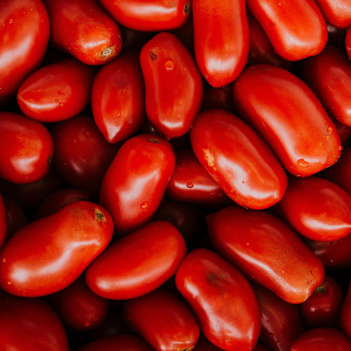 Arrabbiata 🌶️