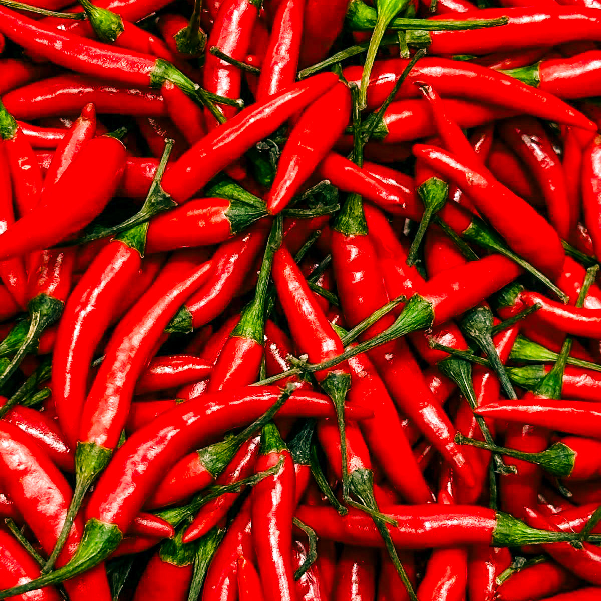 Arrabbiata 🌶️