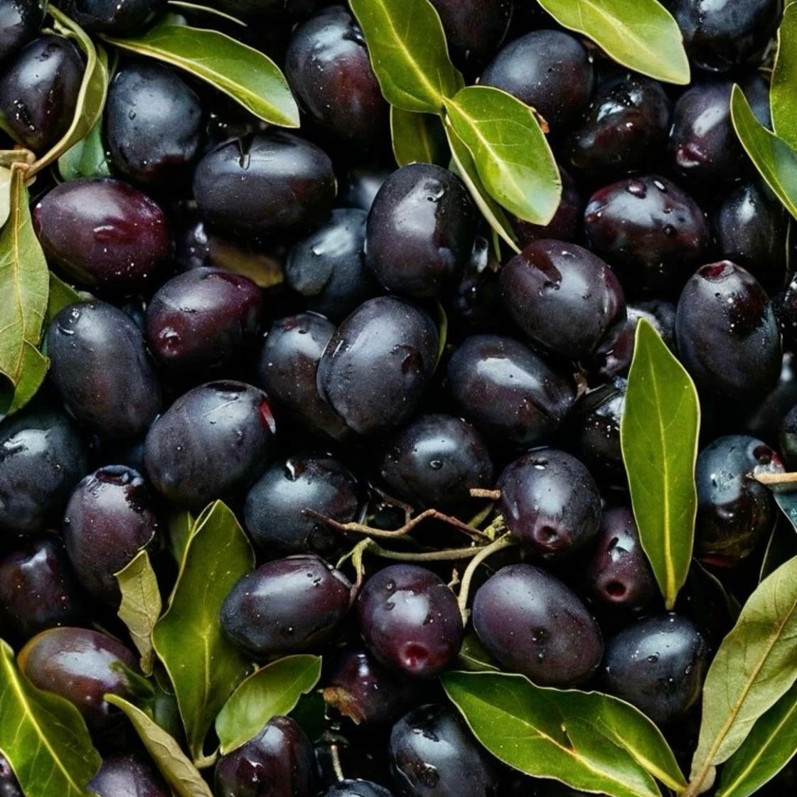 Puttanesca