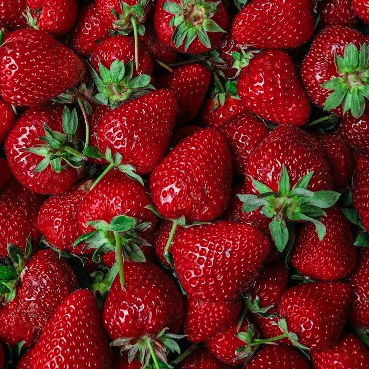 Fragola