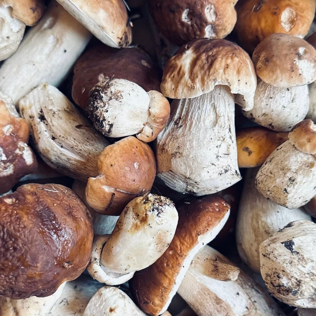 Boscaiola
